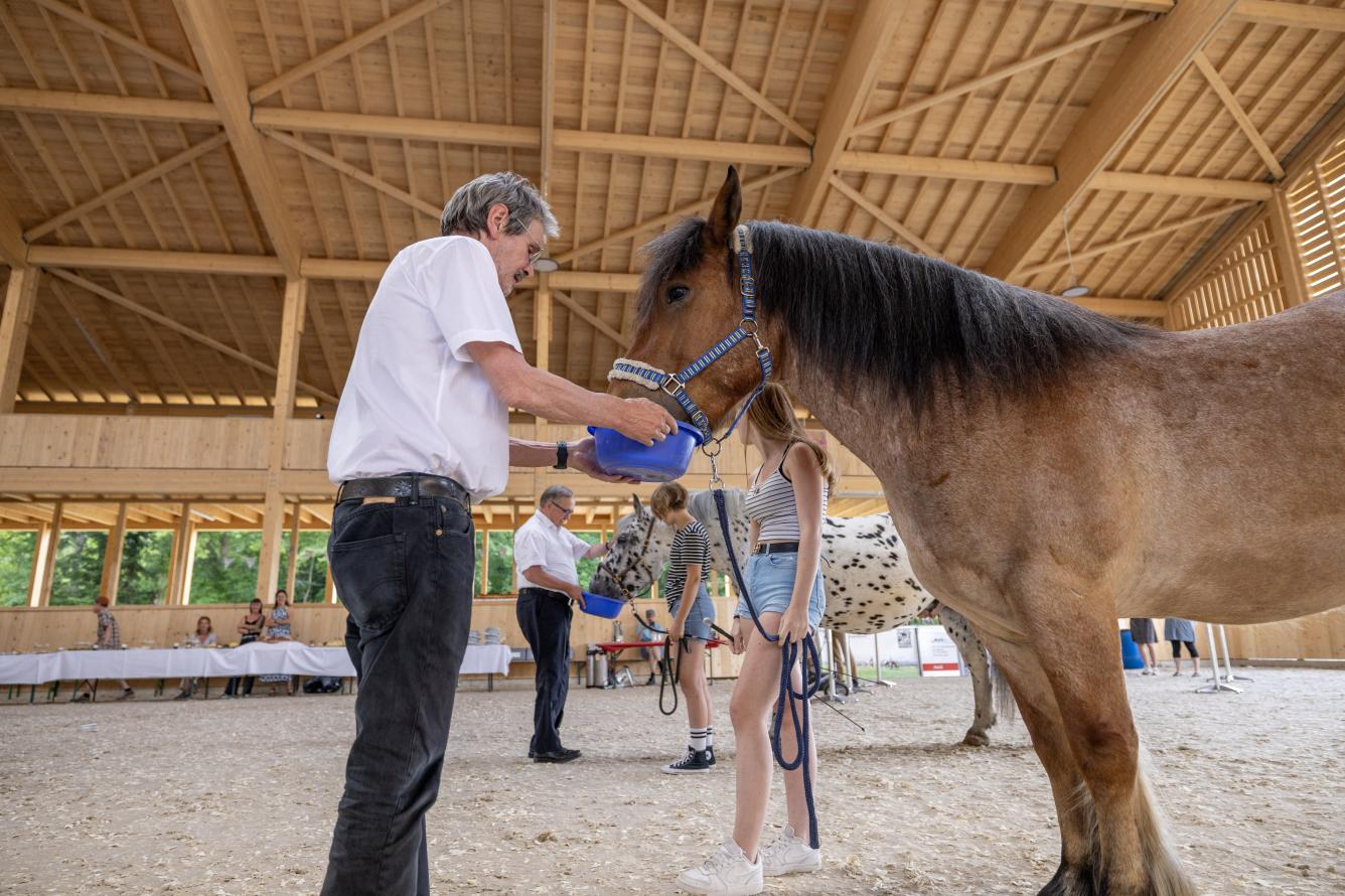 Symbolischer Eröffnungsakt mit alt Bundesrat Samuel Schmid und Ständerat Roberto Zanetti: Pferde erhalten das Hafer aus dem Haferrohr, welches während dem Projekt den Spendenstand anzeigte.
